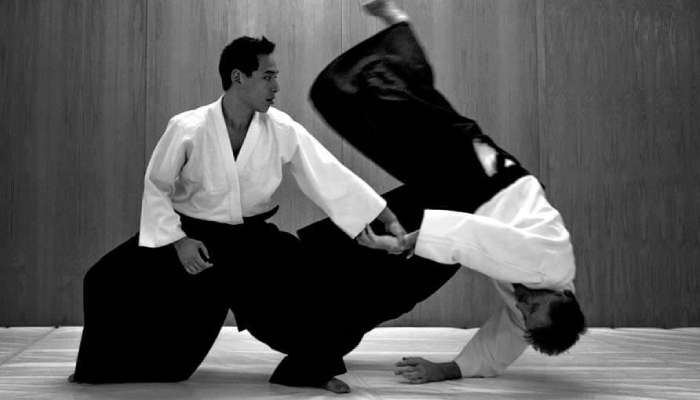 بهترین باشگاه آیکیدو تهران با شماره تماس و لوکیشن 6 بهترین کلاس آی کیدو تهران