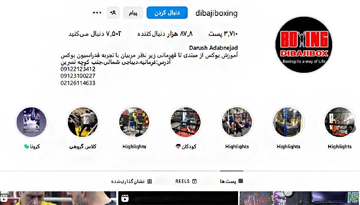 بهترین باشگاه بوکس تهران 12 باشگاه بوکس دیباجی آموزش بوکس حرفه ای