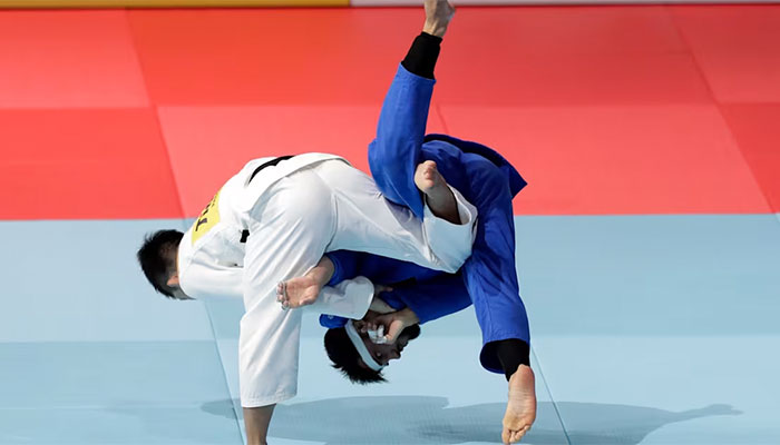 judo