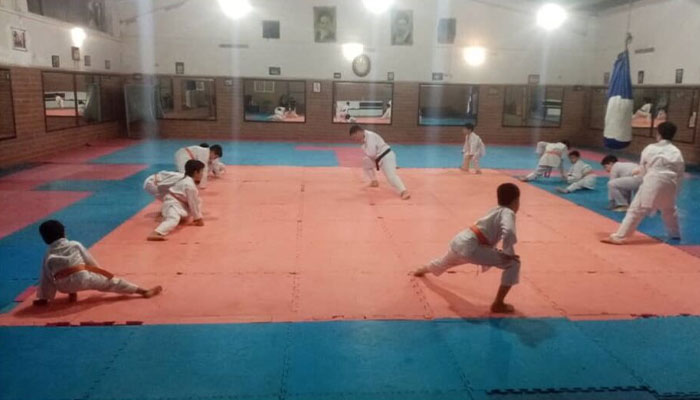 karate club