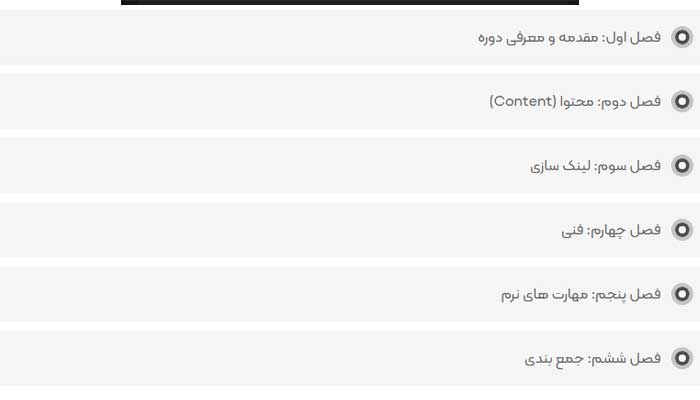 بهترین دوره آموزش سئو 19 سئو کلاه خاکستری بابک بنیادی